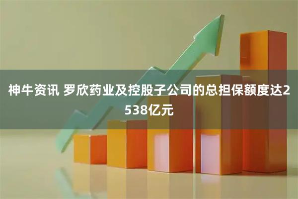 神牛资讯 罗欣药业及控股子公司的总担保额度达2538亿元
