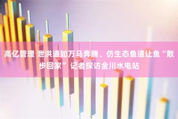 高亿管理 泄洪道如万马奔腾、仿生态鱼道让鱼“散步回家” 记者探访金川水电站