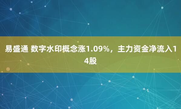 易盛通 数字水印概念涨1.09%，主力资金净流入14股