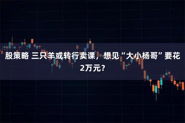 股策略 三只羊或转行卖课，想见“大小杨哥”要花2万元？